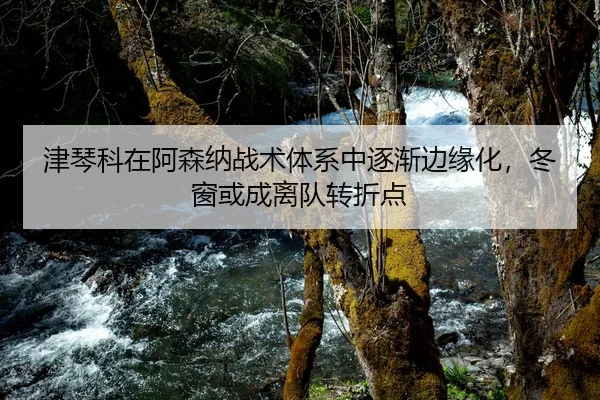 津琴科在阿森纳战术体系中逐渐边缘化，冬窗或成离队转折点