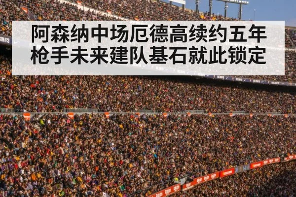 football stadium crowd